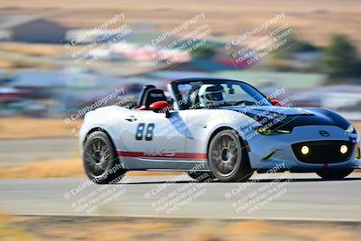 media/Nov-16-2024-Extreme Speed (Sat) [[6587d07cc4]]/Gold Group/Session 1 (Turn 2)/